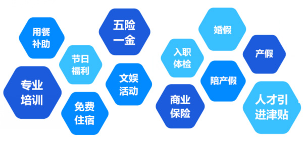 提供全面、系統(tǒng)、專業(yè)的培訓和廣闊的<br>職業(yè)發(fā)展空間和提升機會